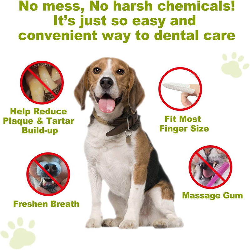 eco-friendly pet wipes